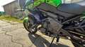 Kawasaki Versys 650 Limited Edition Grün - thumbnail 12