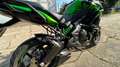Kawasaki Versys 650 Limited Edition Grün - thumbnail 8