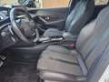 Peugeot 208 208 GT line 130 CV EAT8 2023 Bianco - thumbnail 9