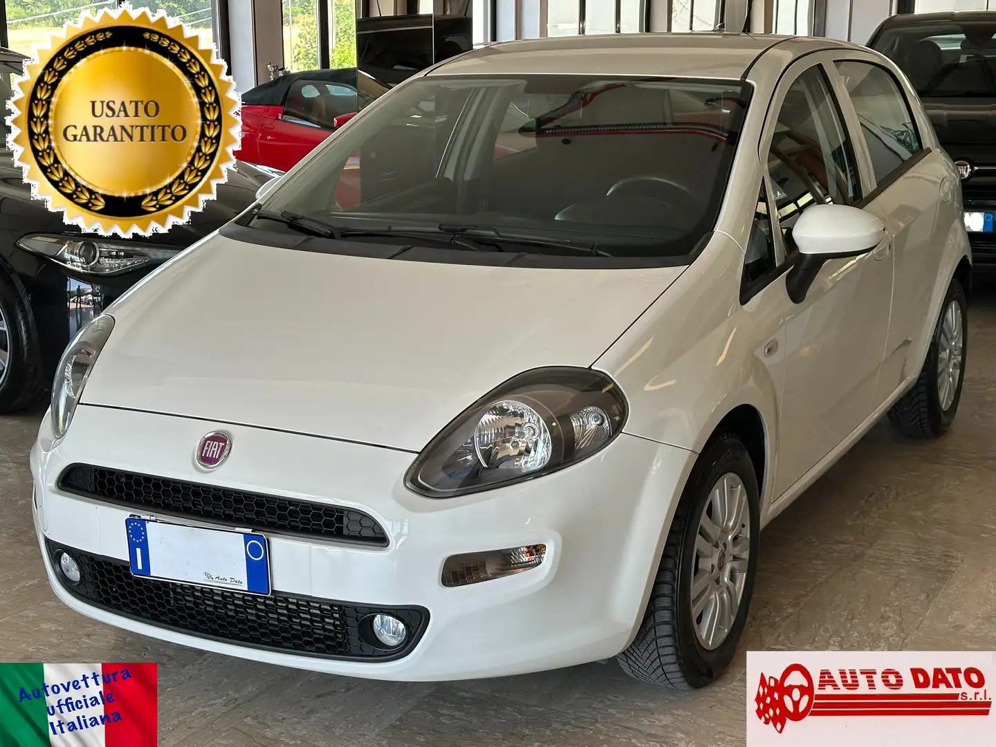 Fiat Punto New 1.3 M.JET 95 cv. 5 porte LOUNGE Bianco - 1