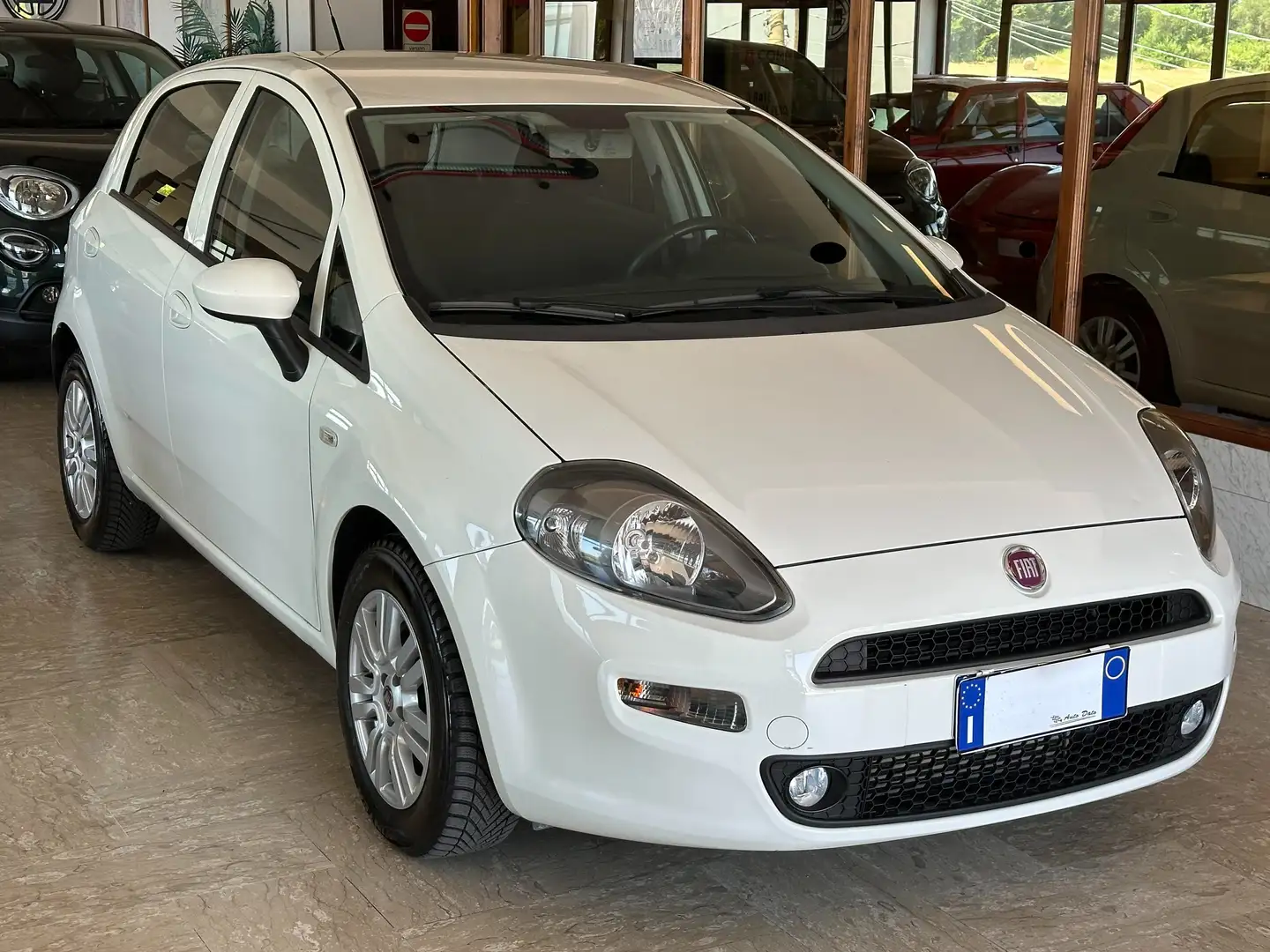 Fiat Punto New 1.3 M.JET 95 cv. 5 porte LOUNGE Bianco - 2