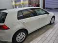 Volkswagen Golf 5p 1.4 tgi Comfortline Business Bianco - thumbnail 10