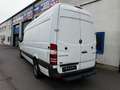 Mercedes-Benz Sprinter 310/311/313/314/316 CDI (906.631/633/635/637) Wit - thumbnail 4