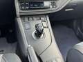 Toyota Auris 1.8 HYBRID EXECUTIVE I AUTOMAAT I CLIMATE CONTROL Negro - thumbnail 22