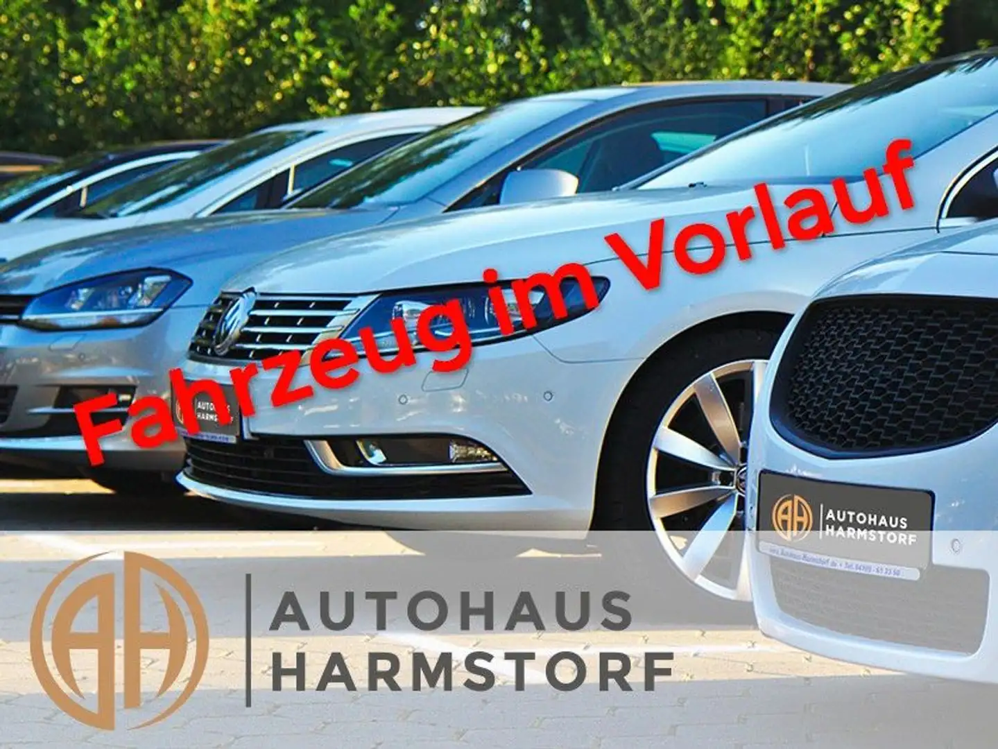 Volkswagen Tayron 1.5 eTSI 110 kW Life 7-Sitze AHK StHz Modrá - 1