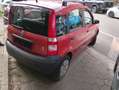 Fiat Panda Panda 1.1 Active Red - thumbnail 10
