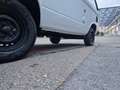 Volkswagen T3 TD  1,6  Reimo Camper Hochdach ! Weiß - thumbnail 21