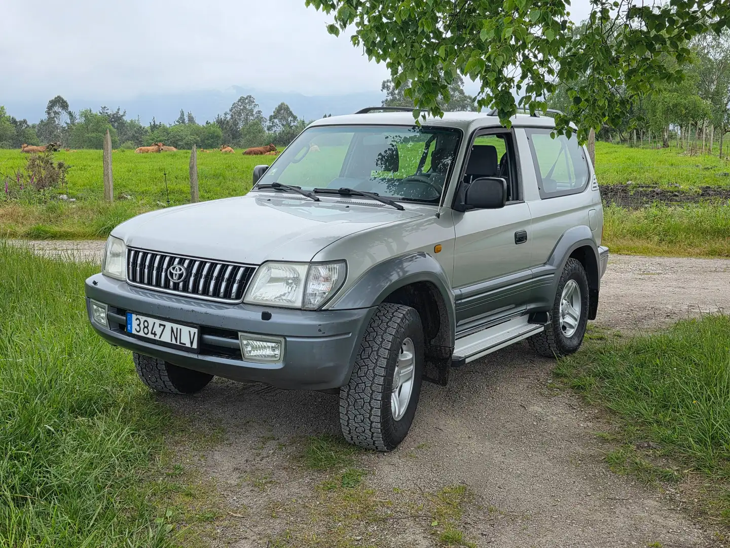 Toyota Land Cruiser Land Cruiser 90 D4D 50 Aniversario Plateado - 1