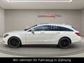 Mercedes-Benz CLS CLS 350 CGI-V6-AHK-Voll-LED - thumbnail 5