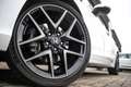 Honda Civic 2.0 e:HEV Advance - All-in rijklrprs | Honda Sensi White - thumbnail 14