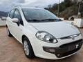 Fiat Punto Evo 5p 1.3 mjt Blue&Me s&s 75cv Bianco - thumbnail 1