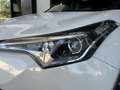 Toyota C-HR 125H Active Blanco - thumbnail 7