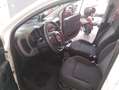 Fiat Panda Panda III 1.0 hybrid Trussardi s&s Blanc - thumbnail 9