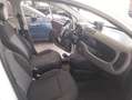 Fiat Panda Panda III 1.0 hybrid Trussardi s&s Blanc - thumbnail 8