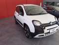 Fiat Panda Panda III 1.0 hybrid Trussardi s&s Blanc - thumbnail 2