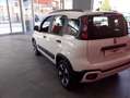 Fiat Panda Panda III 1.0 hybrid Trussardi s&s Blanc - thumbnail 7
