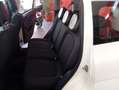 Fiat Panda Panda III 1.0 hybrid Trussardi s&s Blanc - thumbnail 10