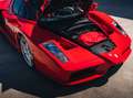 Ferrari Enzo Ferrari Classiche Cert. / 1 of 399 / Low Mileage Rot - thumbnail 27