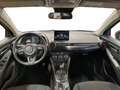 Mazda 2 1.5 e-SKYACTIV-G 90 HP HYBRID HOMURA NEOPATENTATI Bleu - thumbnail 11