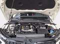 Skoda Kamiq 1.0 tsi monte carlo 110cv Bianco - thumbnail 10