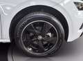 Skoda Kamiq 1.0 tsi monte carlo 110cv Bianco - thumbnail 16