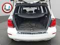 Mercedes-Benz GLK 250 CDI BT 4MATIC *Aut.*Navi*Temp.*PDC*AHK* Weiß - thumbnail 12