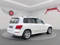 Mercedes-Benz GLK 250 CDI BT 4MATIC *Aut.*Navi*Temp.*PDC*AHK* Weiß - thumbnail 5
