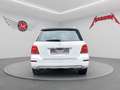 Mercedes-Benz GLK 250 CDI BT 4MATIC *Aut.*Navi*Temp.*PDC*AHK* Weiß - thumbnail 9
