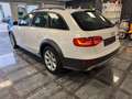 Audi A4 allroad quattro 2.0 TDI*Navi*Gepflegt*Xenon* Blanc - thumbnail 9