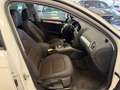 Audi A4 allroad quattro 2.0 TDI*Navi*Gepflegt*Xenon* Blanc - thumbnail 17