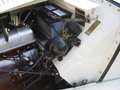 MG TD td Alb - thumbnail 9