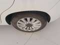 Fiat 500L L 1.3 Multijet Pop Star Bianco - thumbnail 20