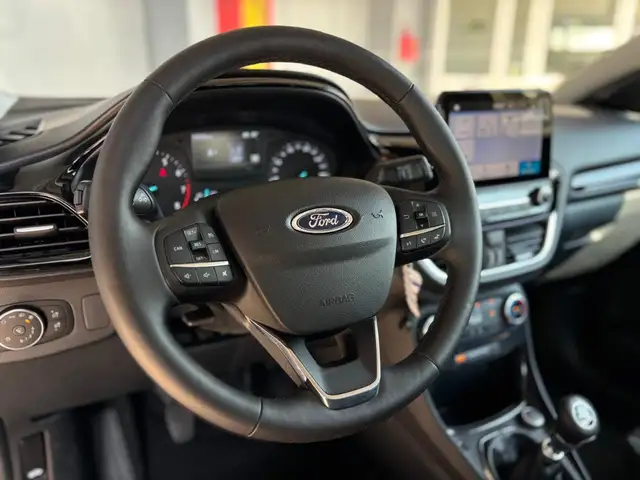 Ford Puma view 14