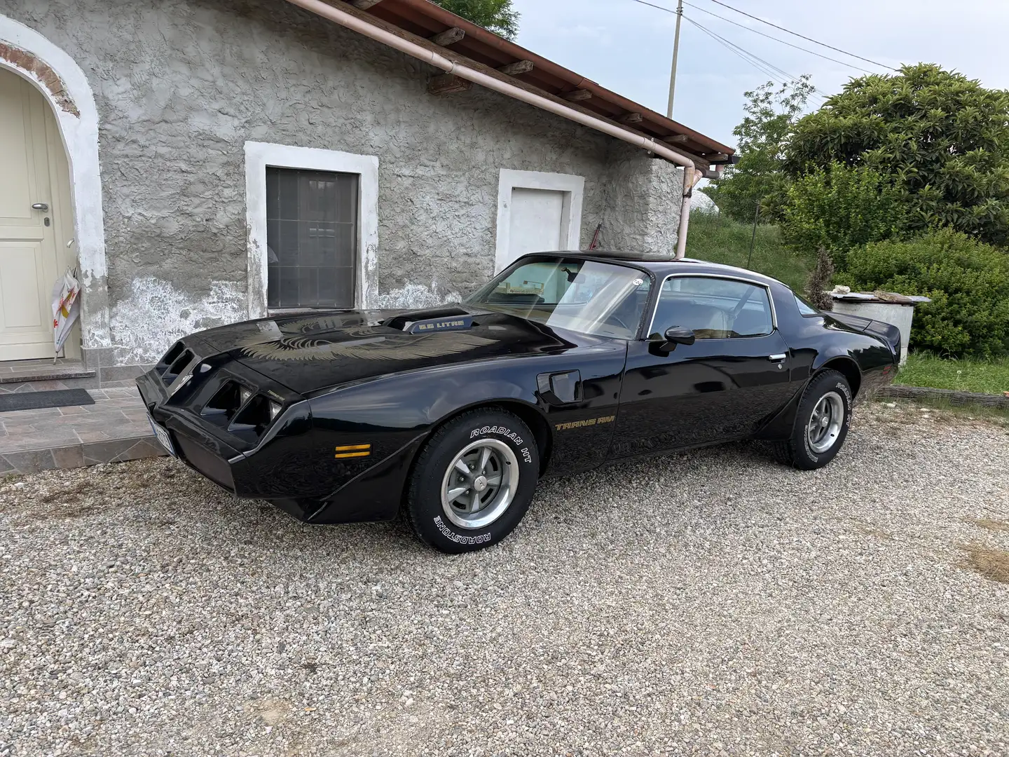 Pontiac Trans Am Firebird - 1