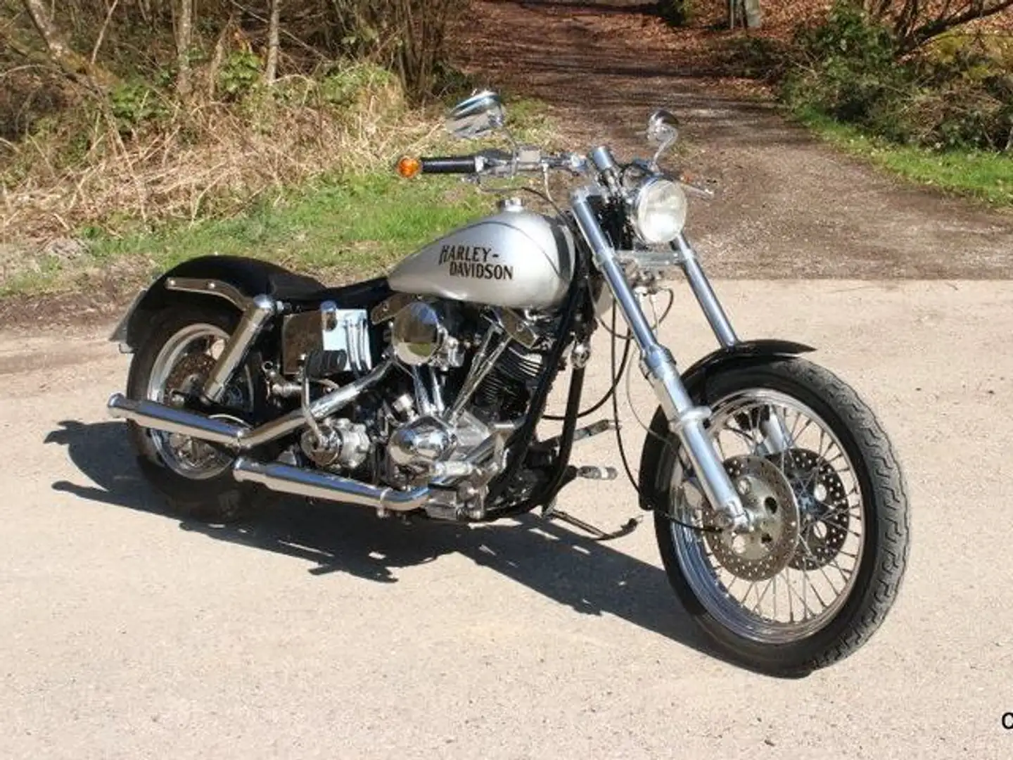 Harley-Davidson Late Shovel FXE Argento - 1