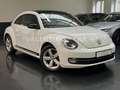 Volkswagen Beetle Lim. Sport DSG/220PS/Navi/Multi/BiXen/Shz Weiß - thumbnail 1