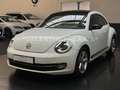 Volkswagen Beetle Lim. Sport DSG/220PS/Navi/Multi/BiXen/Shz Weiß - thumbnail 2