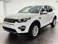 Land Rover Discovery Sport 2.0 TD4 SE Weiß - thumbnail 1