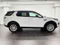 Land Rover Discovery Sport 2.0 TD4 SE Weiß - thumbnail 3