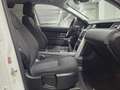 Land Rover Discovery Sport 2.0 TD4 SE Weiß - thumbnail 8