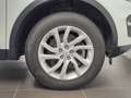 Land Rover Discovery Sport 2.0 TD4 SE Weiß - thumbnail 7