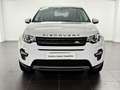 Land Rover Discovery Sport 2.0 TD4 SE Weiß - thumbnail 2