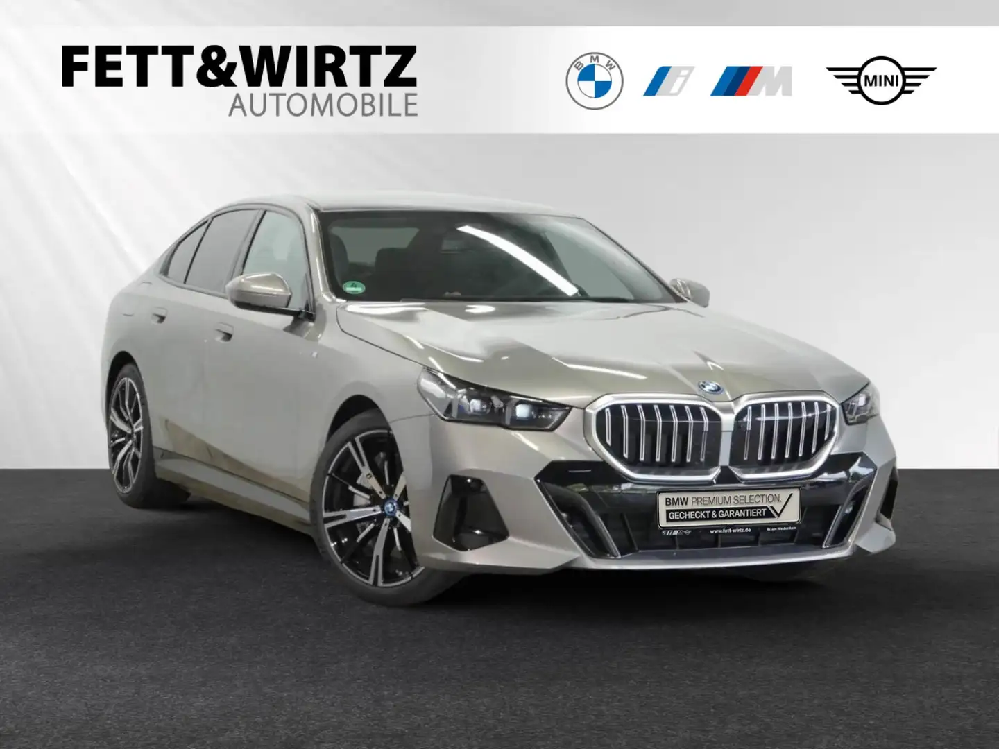 BMW 550 e xDrive M Sport|Autobahnass.|H/K|20"LMR Gris - 1