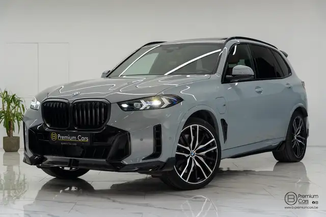 2025 BMW X5 in Grey for sale