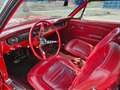 Ford Mustang cabrio 6 cilindros en linea Rojo - thumbnail 6