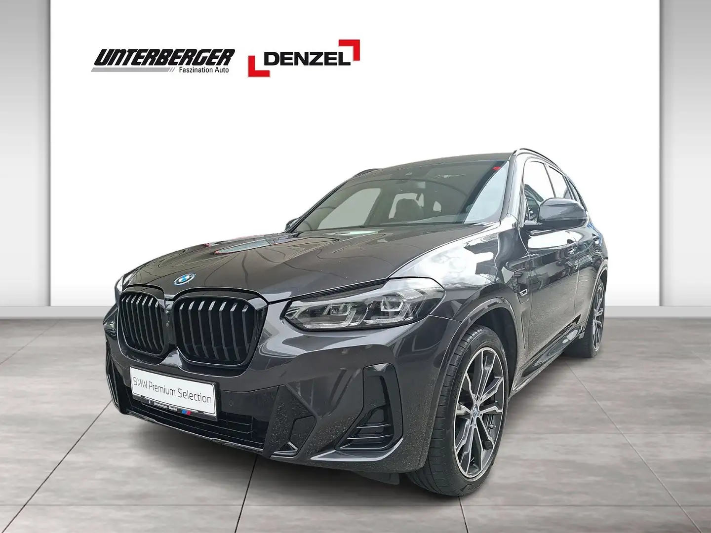 BMW X3 xDrive30e (G01) M Sportpaket Gestiksteuerung Grau - 1