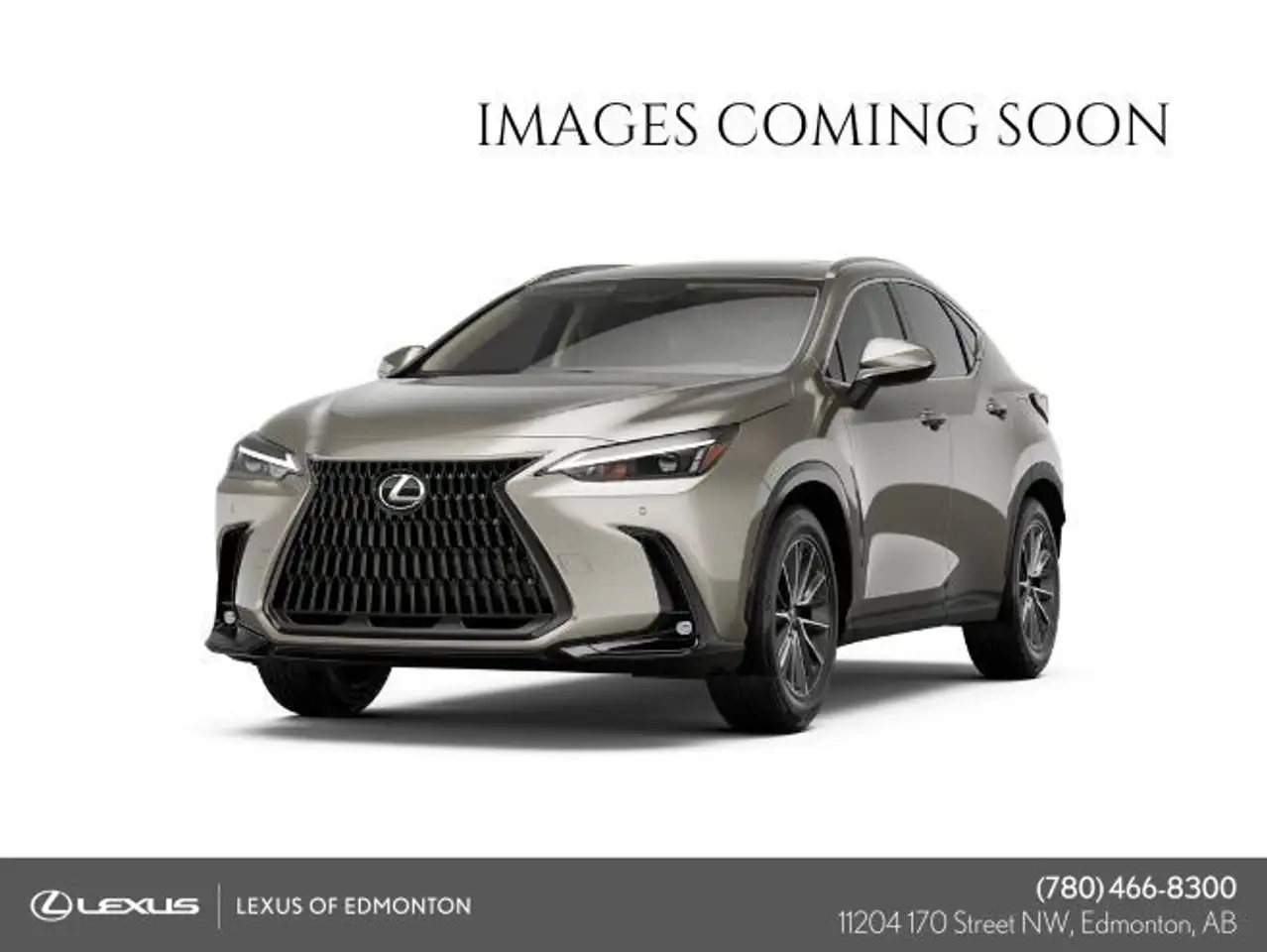 2026 Lexus NX photo 2026 Lexus NX