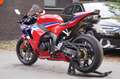 Honda CBR 600 - thumbnail 6