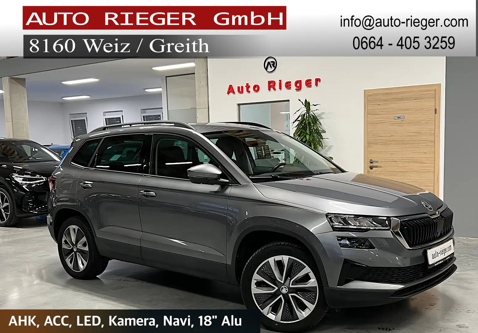Skoda Karoq Style 4x4 AHK LED, ACC, Kamera Grau - 1