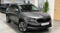 Skoda Karoq Style 4x4 AHK LED, ACC, Kamera Grau - thumbnail 28